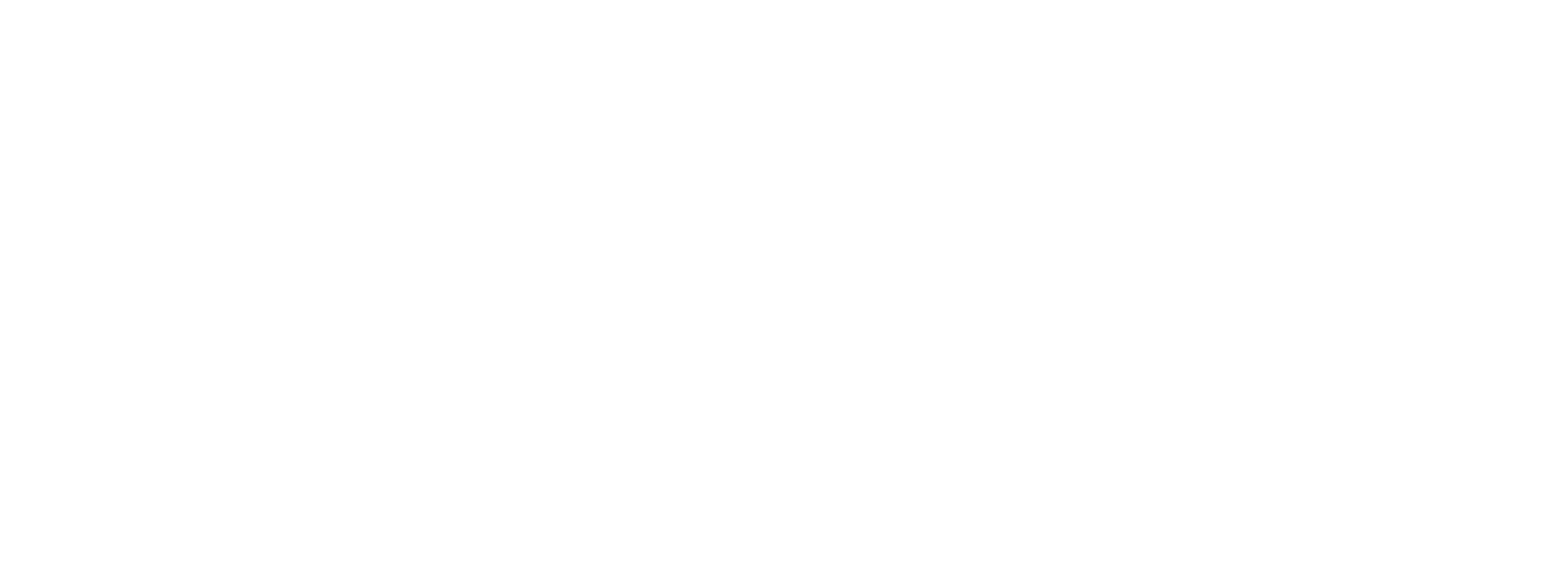 Lincoln Minster White